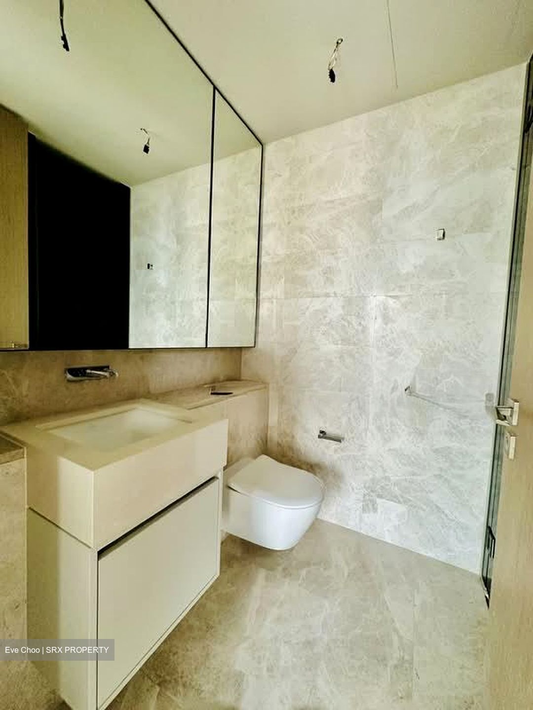 Amber Park (D15), Condominium #573052811